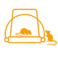 Feeding the Rats