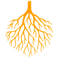  Find your Roots 