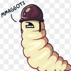 Maggots 🪱 🪱🪱