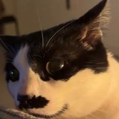 Pan  Pan